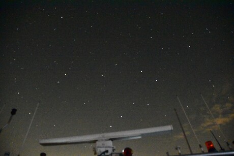 Grotebeer tussen de Antennes 