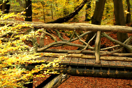 wooden bridge