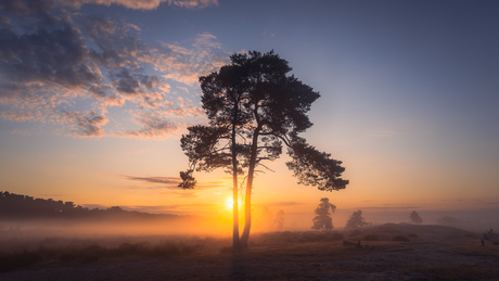 Zonsopkomst Drunense Duinen