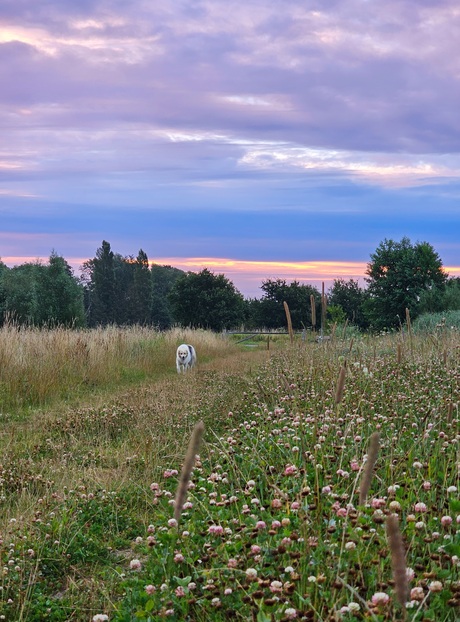 Zonsondergang