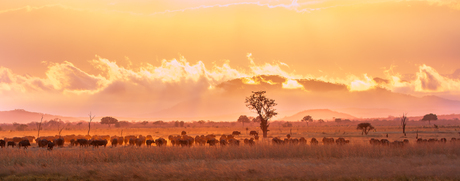 Tanzania - Fire in the Sky