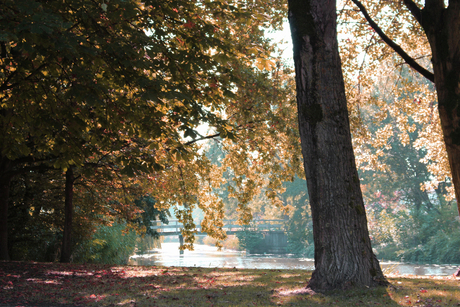 Herfst in Kustpark Lelystad