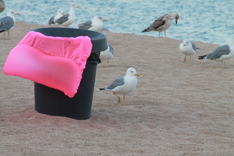 einde mooie stranddag