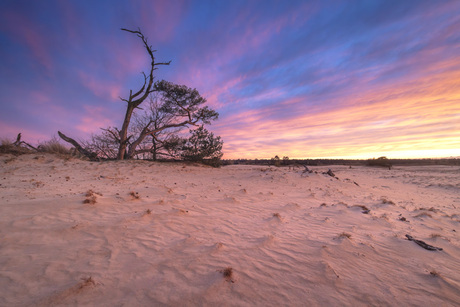 Landschapsfotografie op de Veluwe 