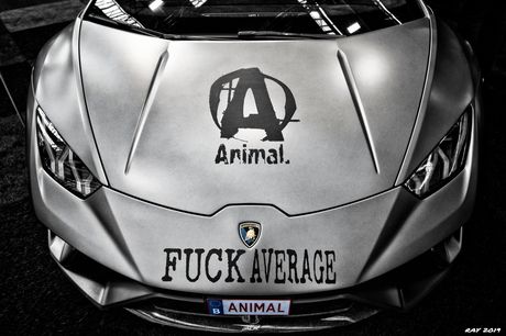 Fuck Average!!!