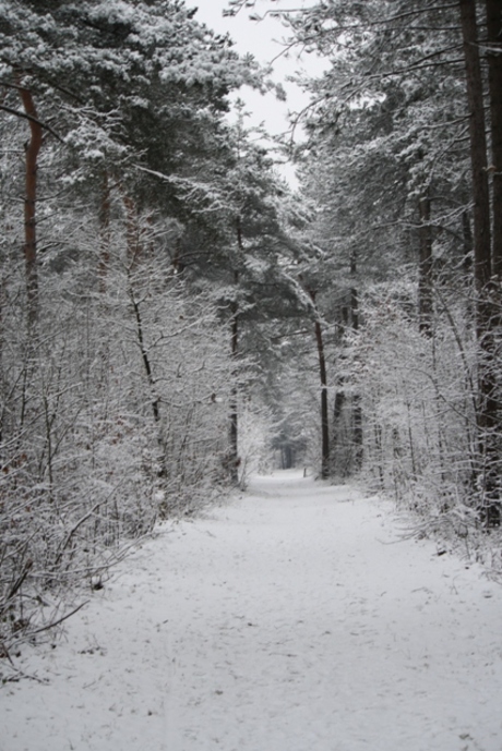 Winter 2010