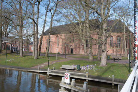 Achterkant Nicolaikerk, Appingedam met krokusjes op de voorgrond