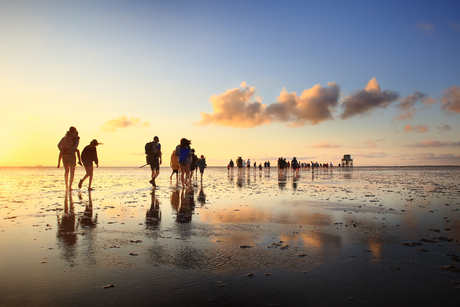 Wadlopen op Engesmanplaat