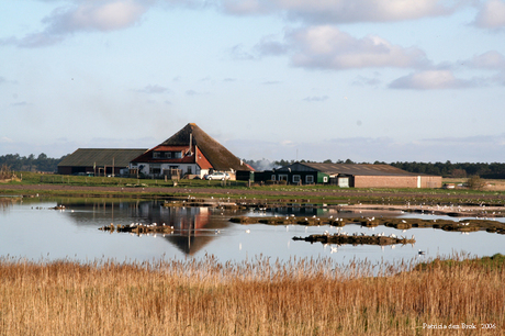 Texels landschap