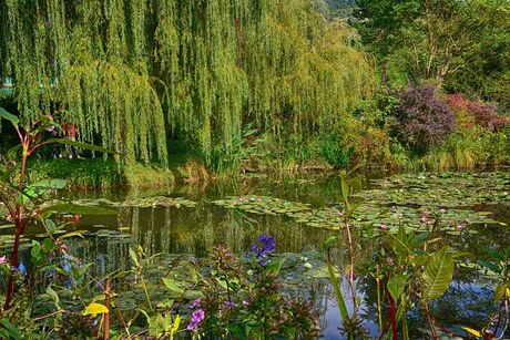 tuin van Monet