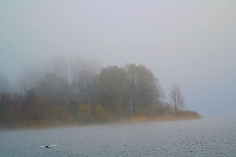 Mistig aan de Gaasperplas