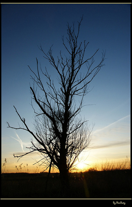 ovp zonsondergang 1