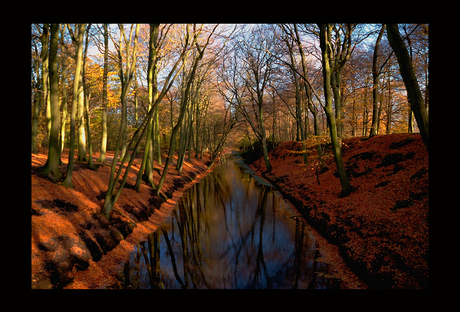 Herfst plaatje nr.......