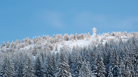 Feldberg