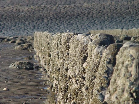 Vlieland bij eb