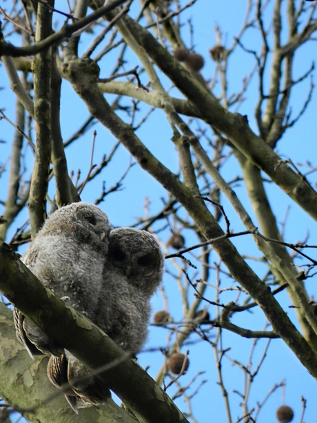 De lente is begonnen! Deel Twee