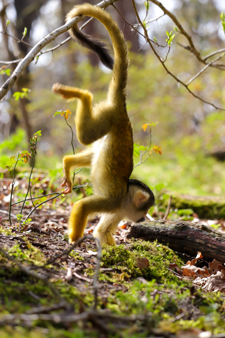 Goining on an adventure 