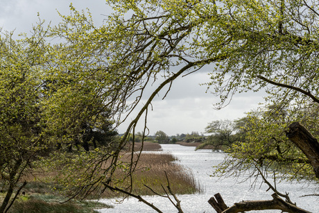 doorkijkje