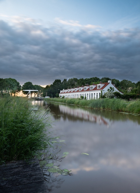 Woudbloem