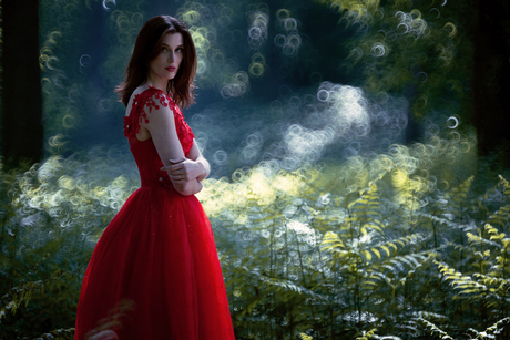 Lost in the Faerie Realm