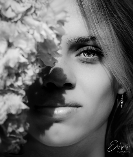 De kracht van schaduw