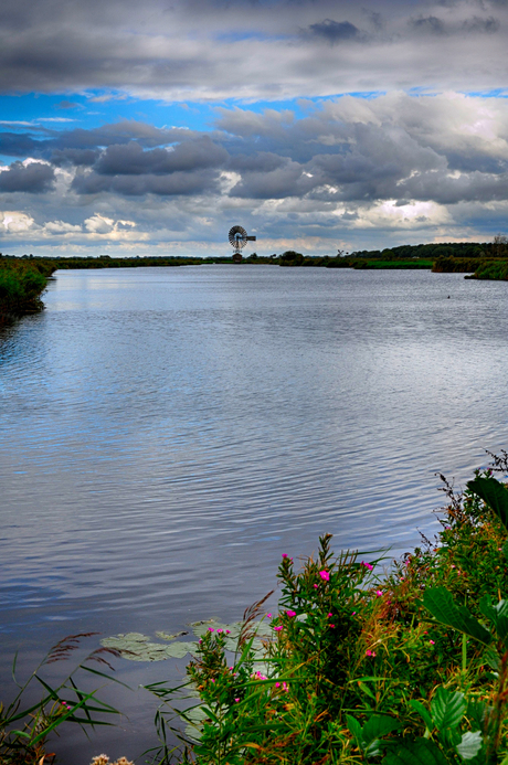 Polderlandschap