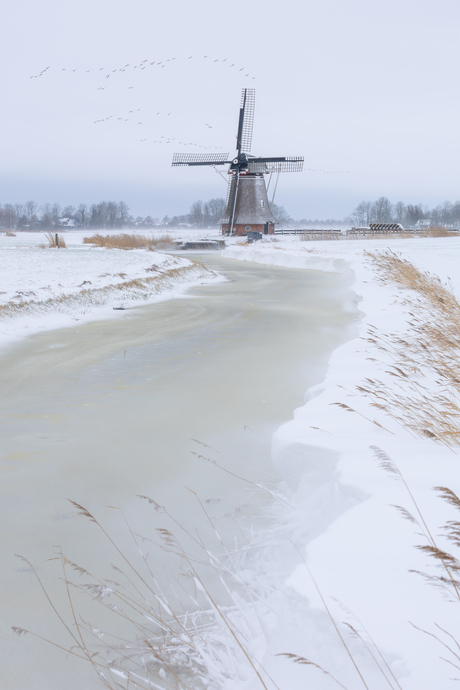 Winter in Friesland 