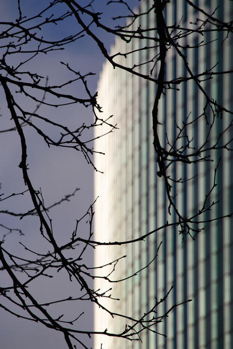 Architectuur versus natuur