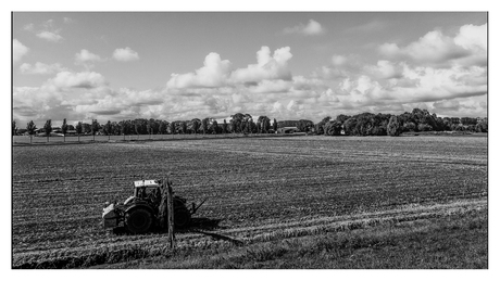 akker naast Purmeringvaart