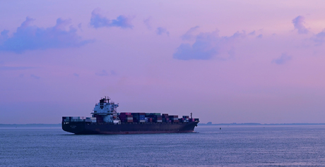 Westerschelde 