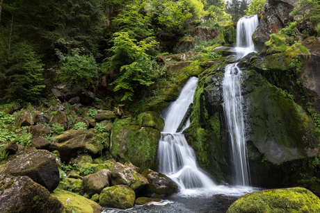 Bosfotografie - waterval 1