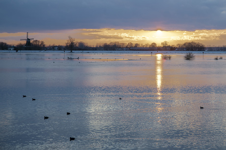 Rivierlandschap