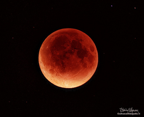 Blood Eclipse