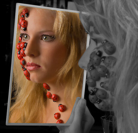 Overal beestjes...... :-)