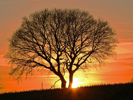 zonsondergang