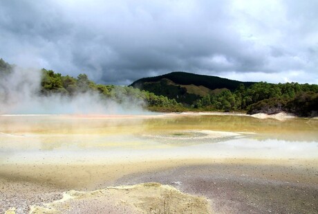 Op het Noordereiland van Nieuw Zeeland in het geothermaal gebied