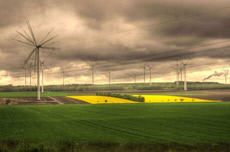 Yellow fields , Germany