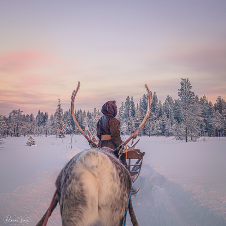 Lapland scenery