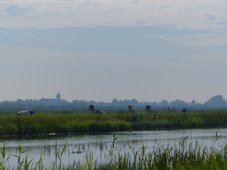 Uitzicht op Westbroek