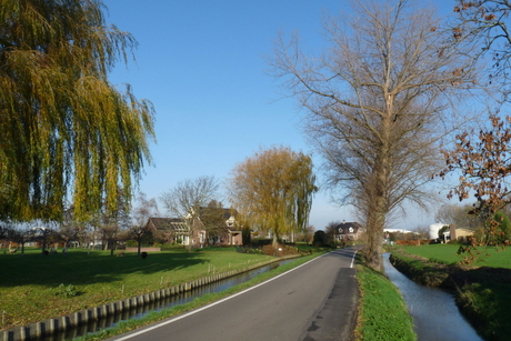 P1470527 De Lier HERFST burgerdijkse weg 22 nov 2017