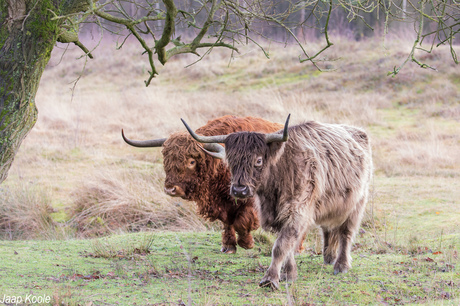 Samen op stap