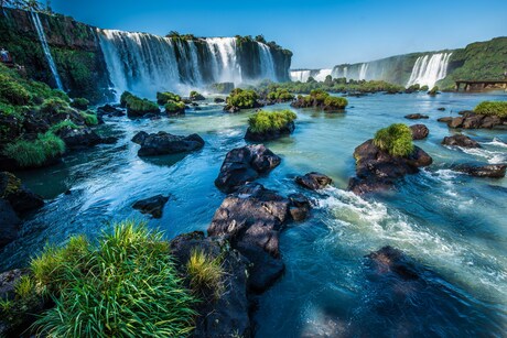 Wild water  