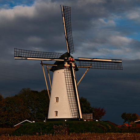 windlust in de zon