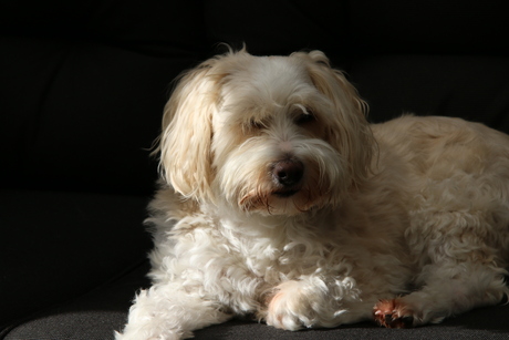 Spike in de relax modus
