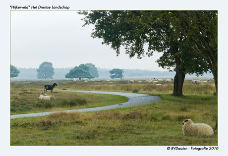 "Hijkerveld" Het Drentse Landschap