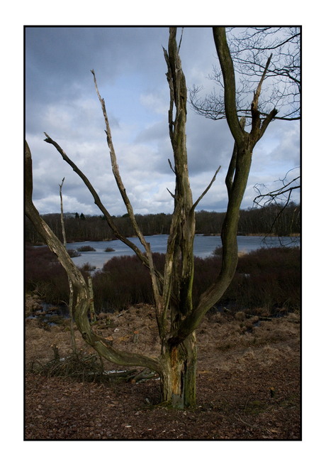 By the frozen lake