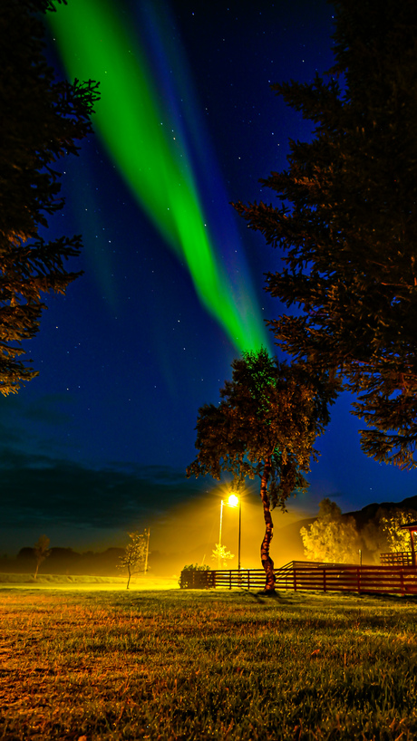 Noorderlicht in Reipa