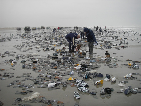 09-02-2006 Schoenami Terschelling