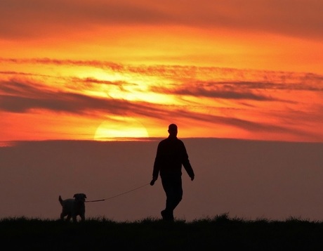 Wandelaar met hond bij ondergaande zon