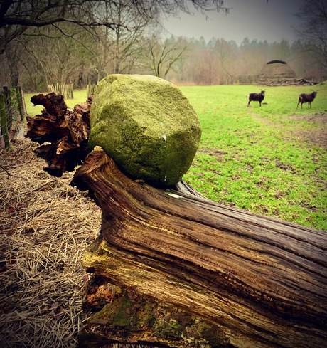 Contragewicht voor oud houten hek